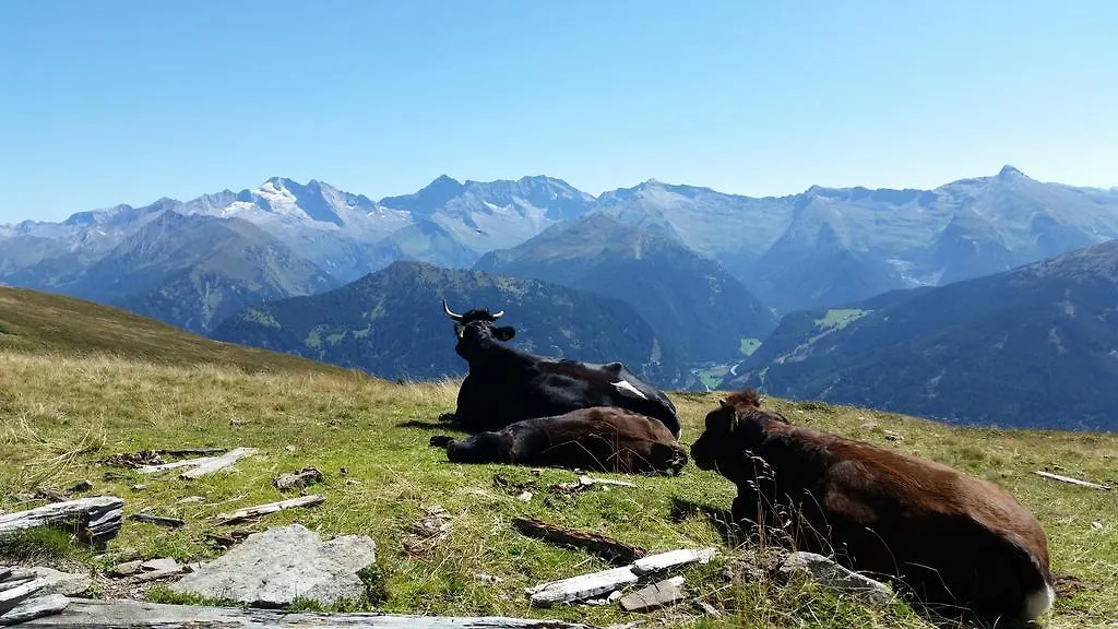 Appartement Ferienwohnungen Tiroler Alpenhof Innsbruck